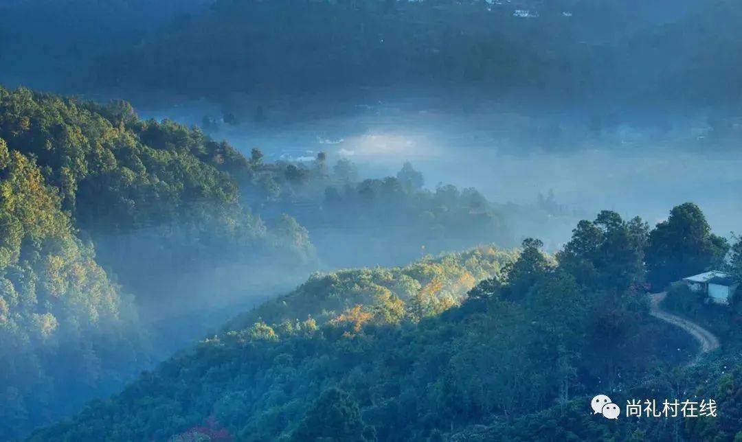 普洱|三十六山|走进"仙人足迹"巴达山,共品纯韵古树茶_茶树_山头_大