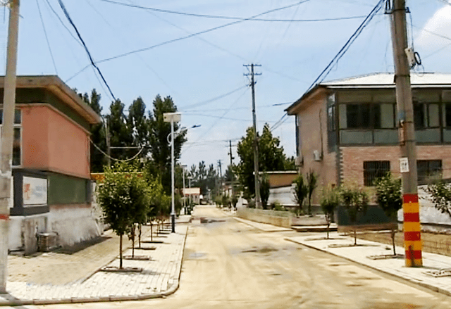 绿化_道路_夏官营镇