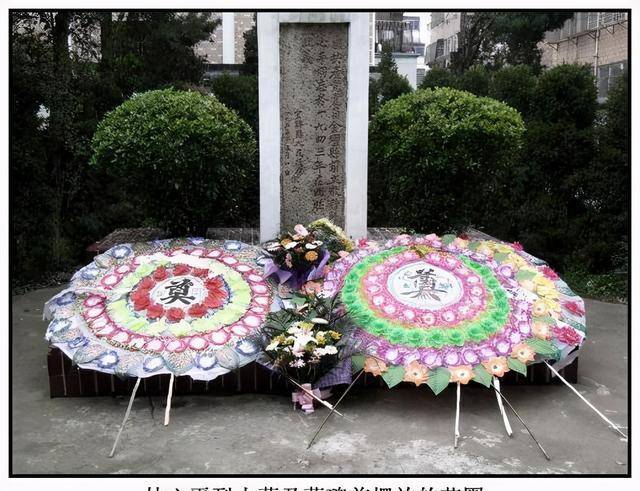 抗日女英雄林心平:遭遇30多种酷刑未招供,牺牲后被扔进硫酸缸_父亲