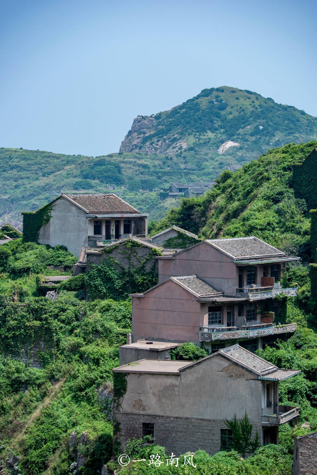 舟山群岛神秘的无人村,人类离开后,变成绿色的奇幻世界