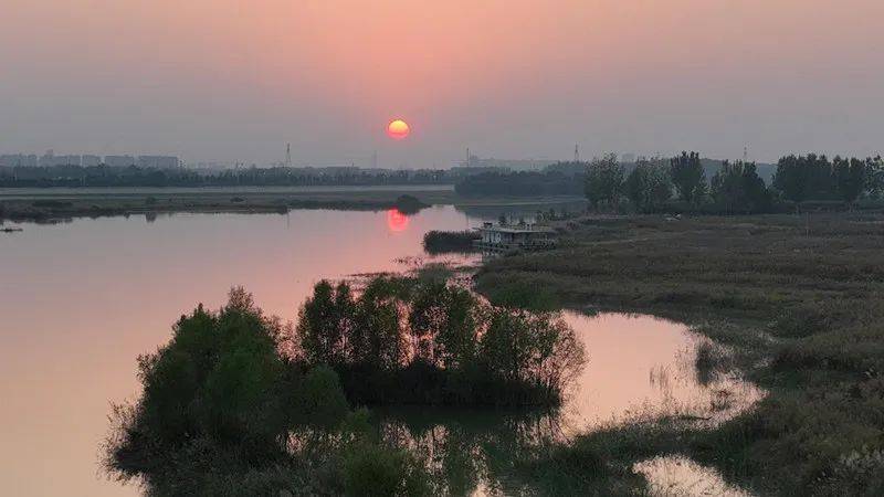 民权黄河故道国家湿地公园:从"旧河槽"到鸟类的"诺亚方舟"_生态_保护