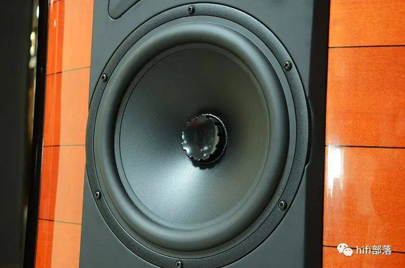 世霸sonus faber stradivari homage 至尊大名琴旗舰落地箱_扬声器