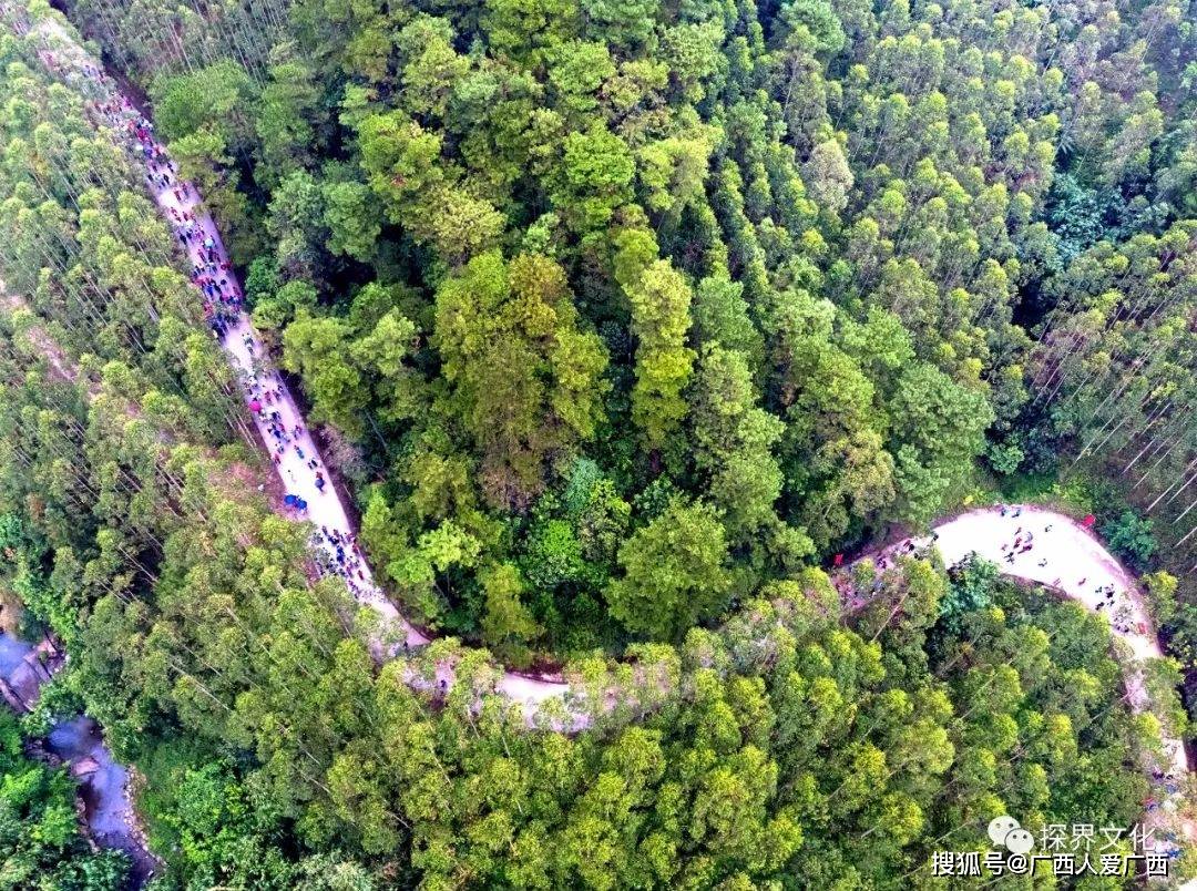 "平天山"喊你来登山啦!