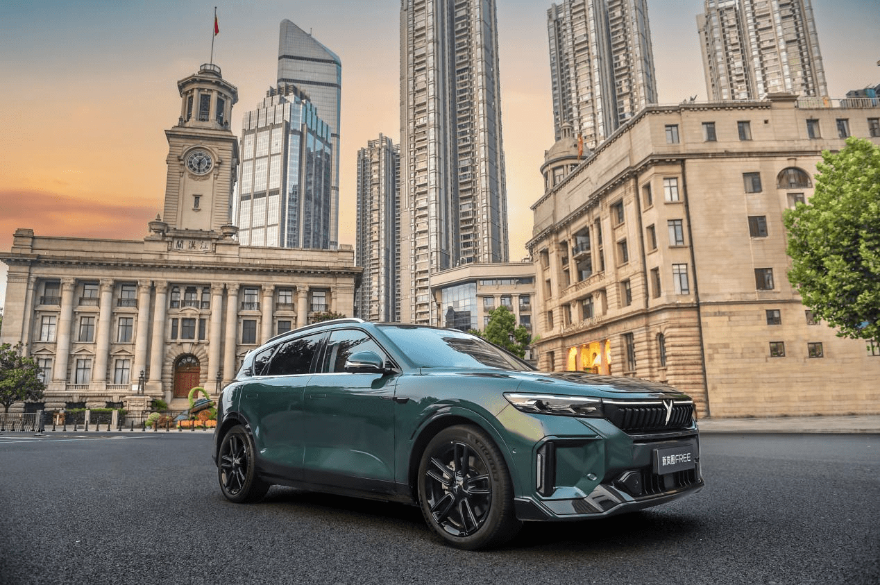 "智驾游大五座suv"新岚图free 武汉试驾体验会_搜狐汽车_搜狐网