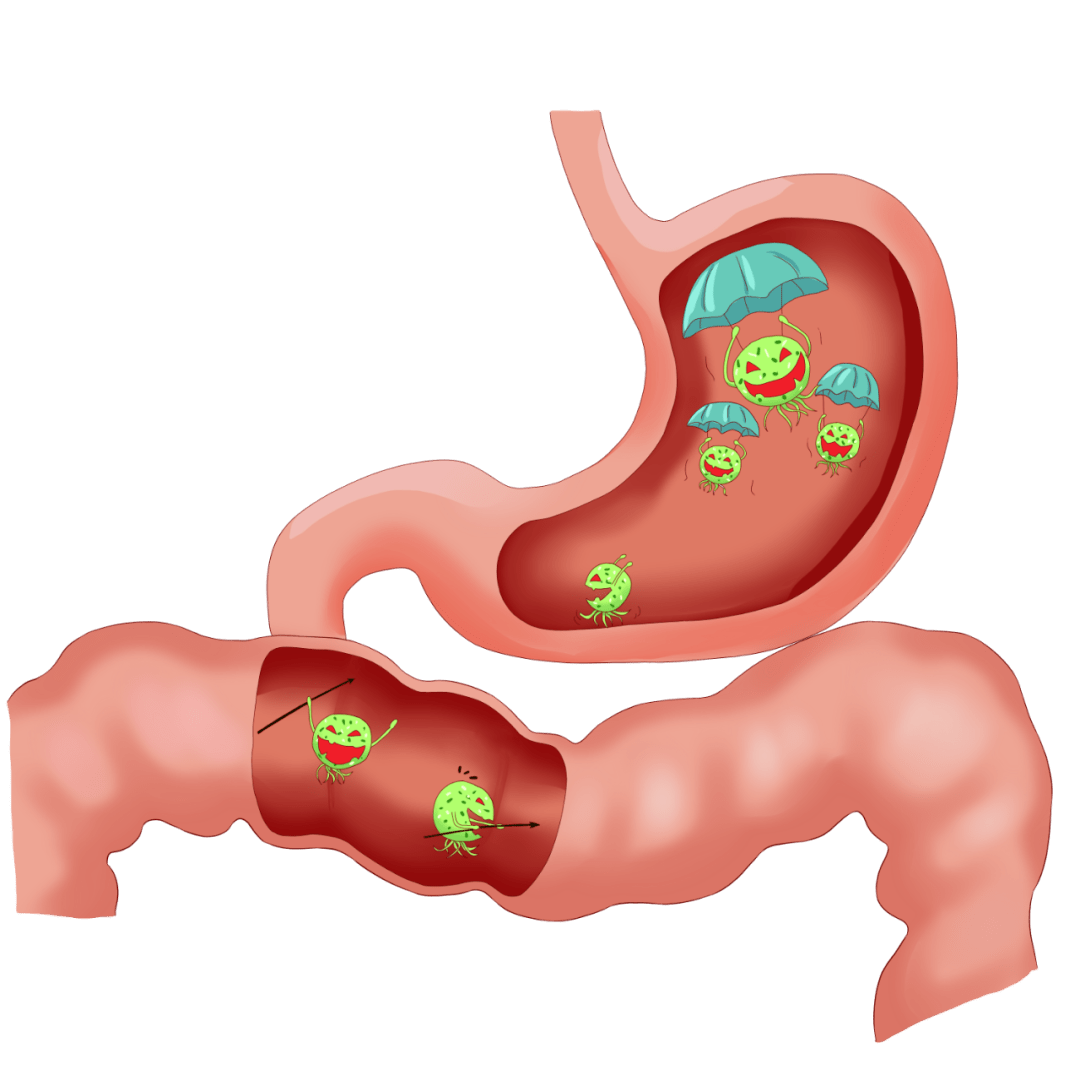 一文详解肠道菌群移植_人体_疾病_细菌