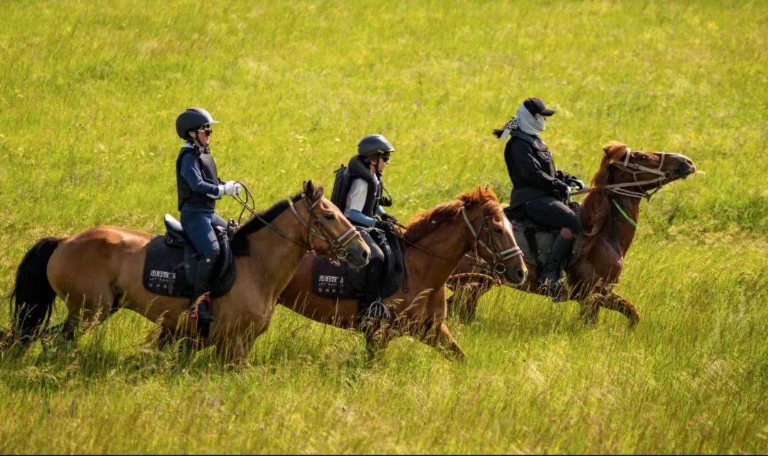【观察】马术夏令营成暑期香饽饽!_国际_中心_运动