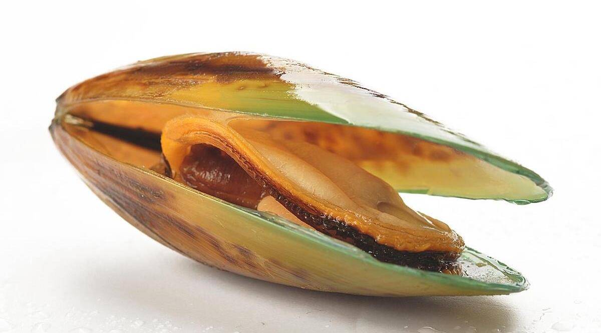 海虹里像蜈蚣一样的虫子是什么?