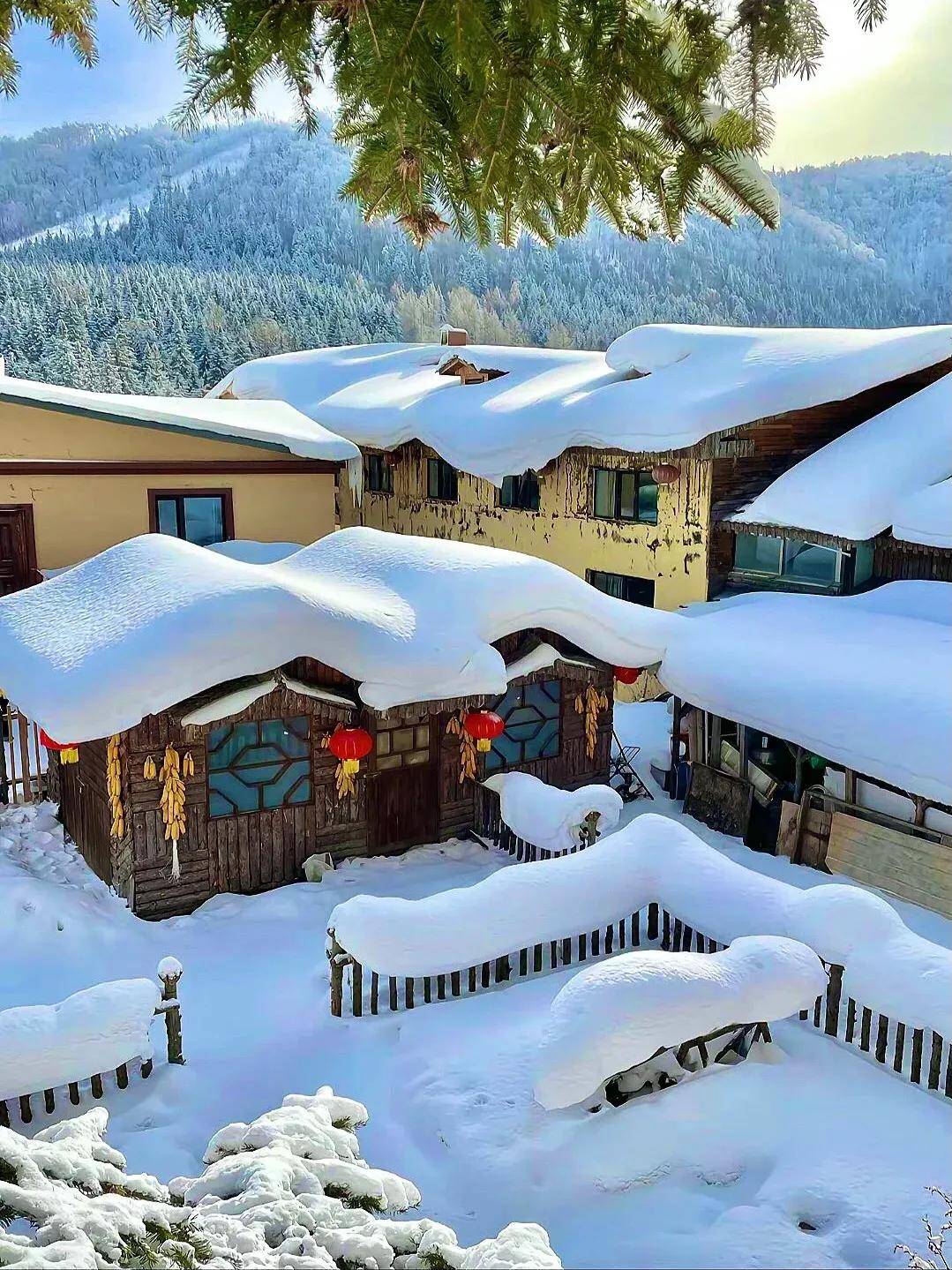 当狗熊岭照进现实,你知道它在哪么?_雪乡_东北_哈尔滨