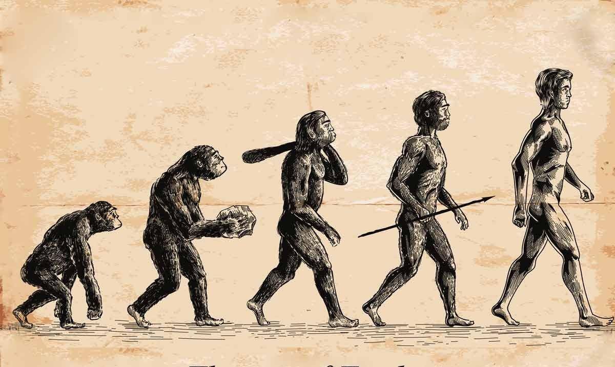 经过漫长的进化以后,类人猿就有了直立行走的能力,成为了直立人其中一