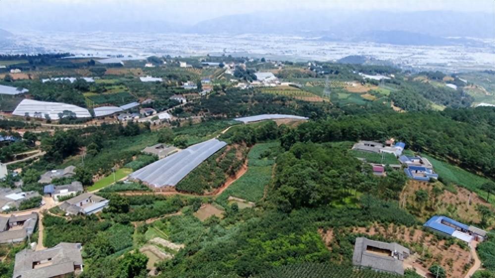 西昌市农文林旅融合发展示范村——"茅坡樱红"丘陵村_旅游_生态_樱桃