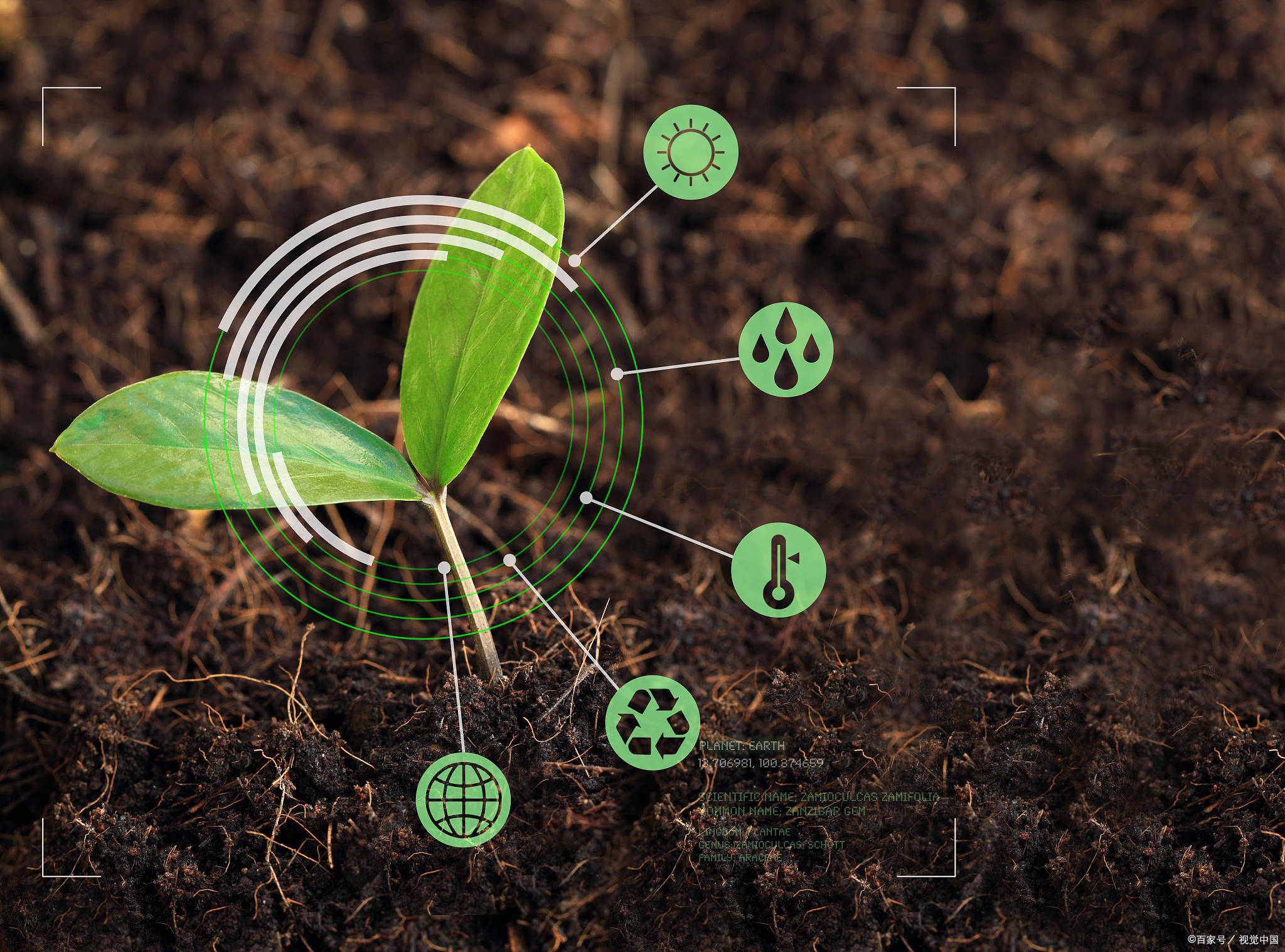 土壤修复概念:业绩为王!