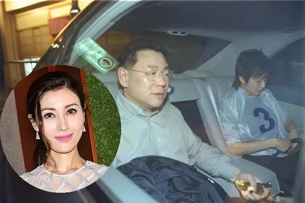 收割机"李嘉欣:她的混乱情史刷新了我对美女的认知_倪震_黎明_庞维仁