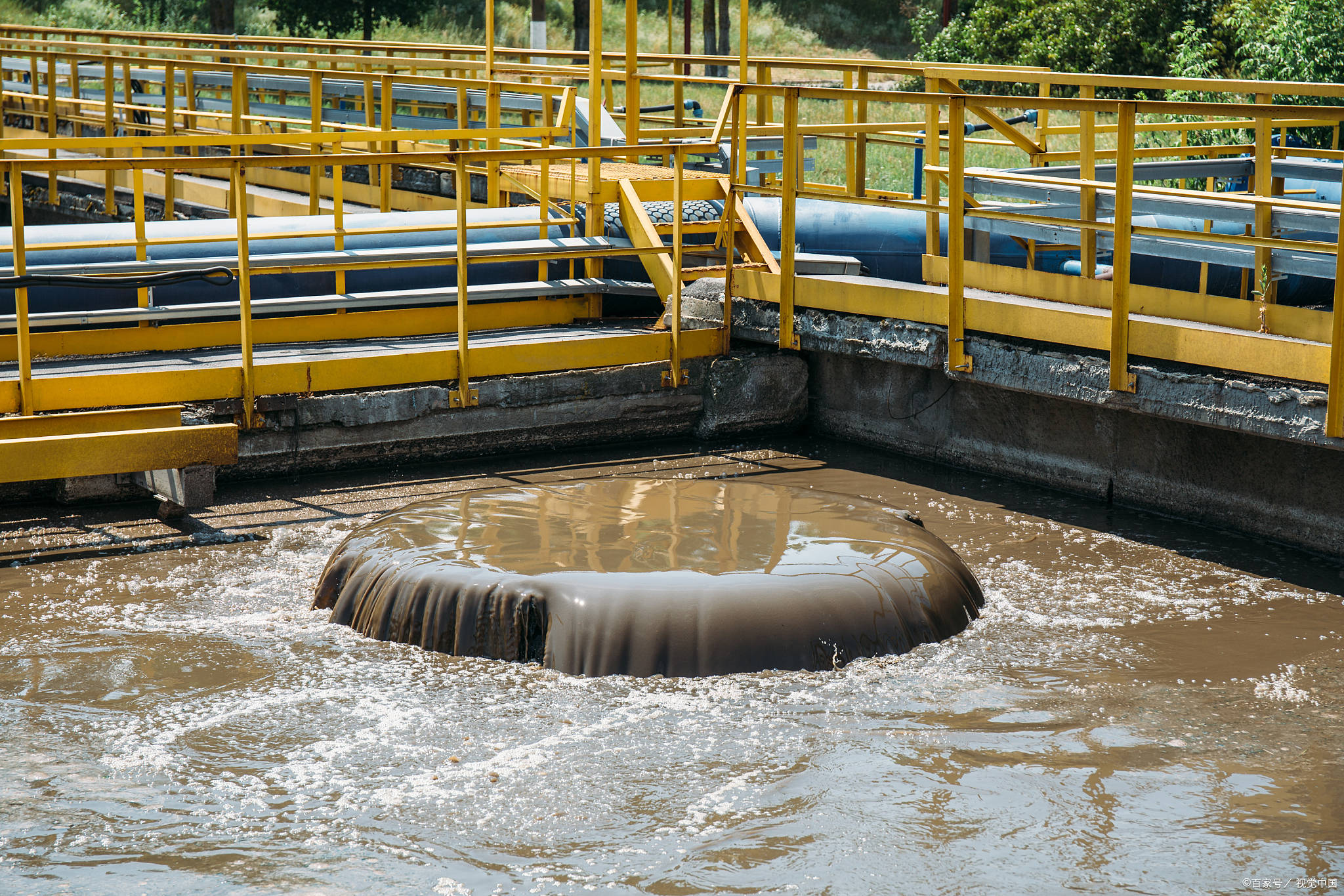污水特性以及主要的污染物有哪些?_处理_生活_微生物