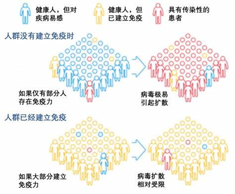 端午安康｜“粽”香千里，馨系万家，佳节将至，守护安康
