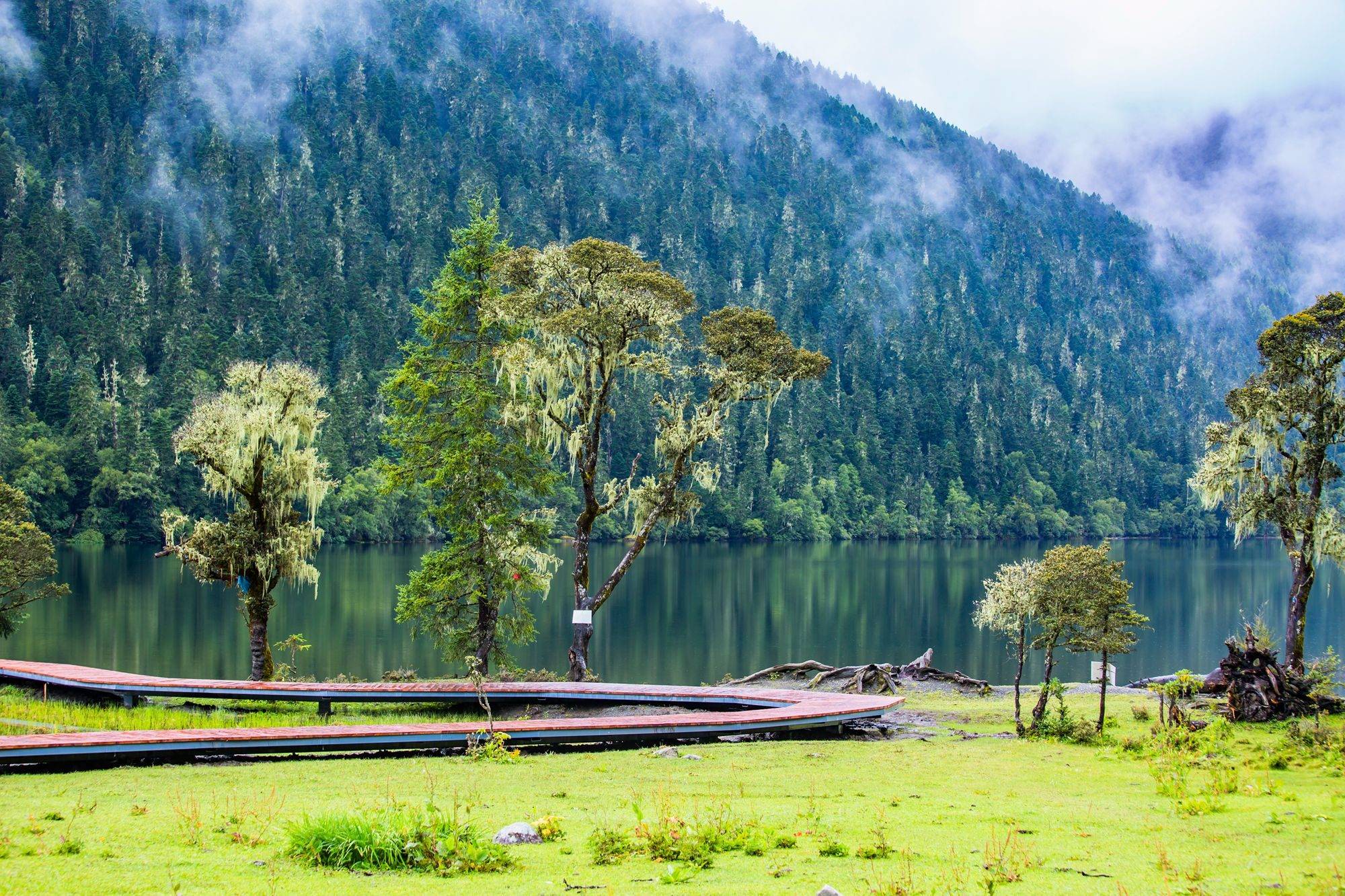 伍须海,环境优美,风景如画,一处被低估的川西隐世仙境_湖水_仙女_九龙