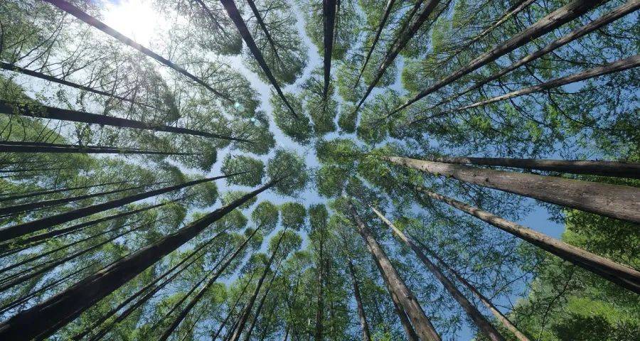 今年家电“金九银十”季迎来厂商破冰新动作-家电圈官网