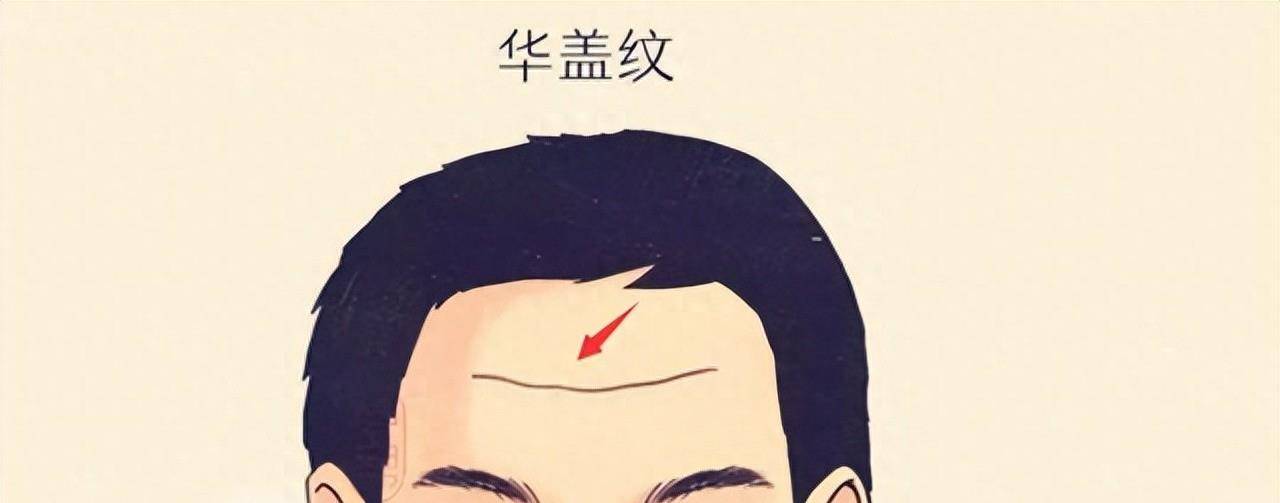 "脸上没有好皱纹,既不苦也不悲":这4种面部皱纹预示着不幸福_颧骨