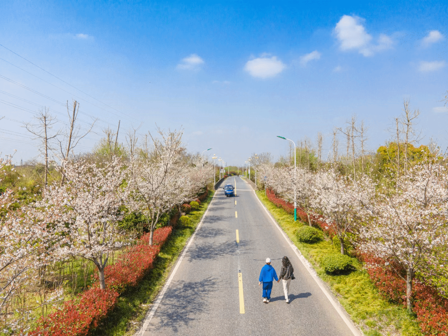 打卡"中国美丽休闲乡村"湖州市向阳村,在这里体验你想要的生活!