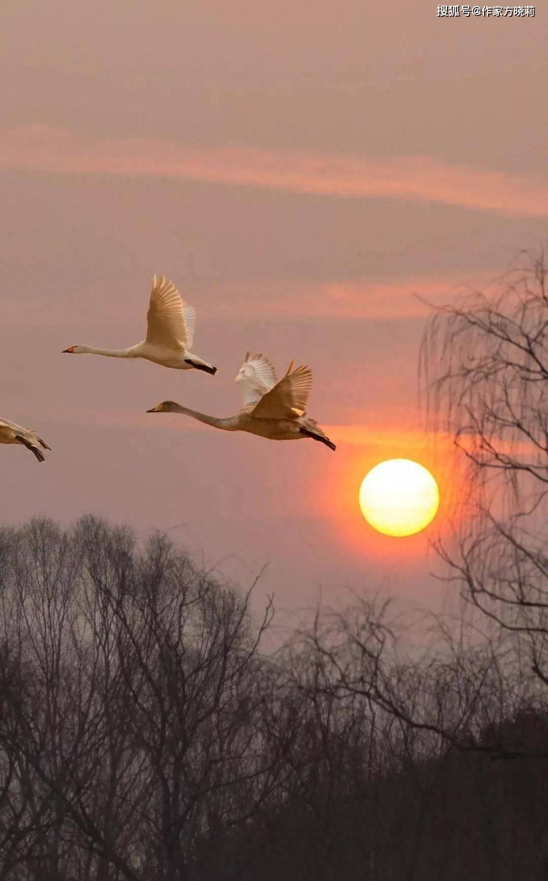 (备注:图片来源于网络,感谢分享.