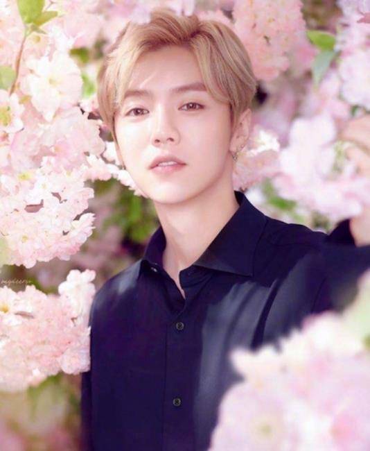 鹿晗他身世背景不输关晓彤,网友:果然有底气才敢公开_情况_工作_男生