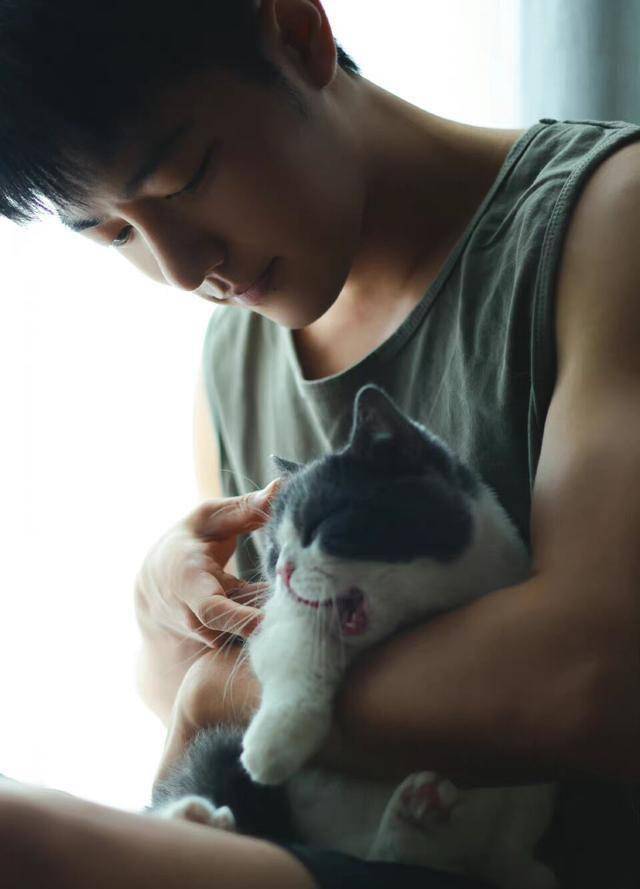 叫坚果,然后是一只短腿猫,是一个姑娘",说这句话的时候肖战眼睛里面是