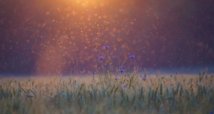 一轮家电消费集体降级大潮来袭?-家电圈官网