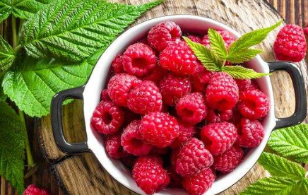 供不应求卖出"天价",山里却是没人要的野果_覆盆子_价格_人们