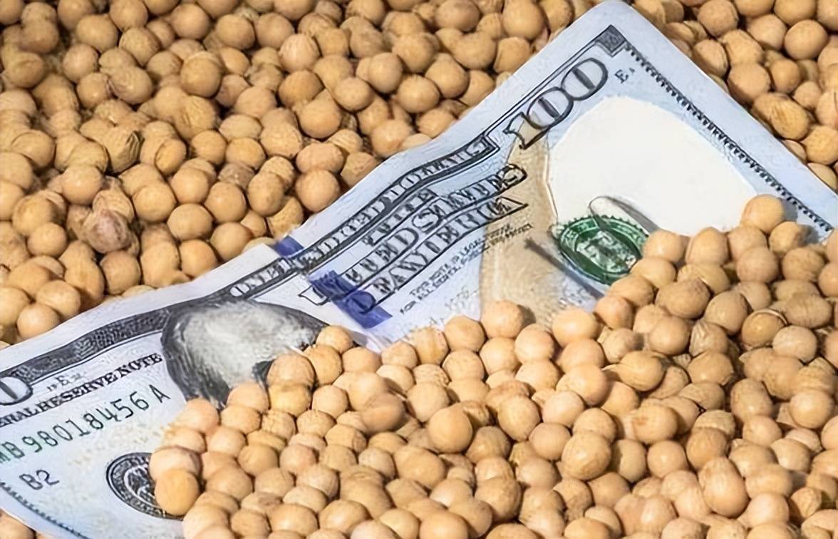 中国宁向美国购买大量转基因大豆,也不考虑俄罗斯?这是为何?