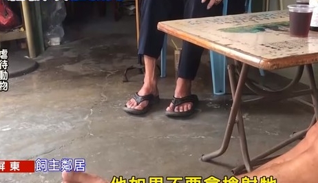邻里关系和睦,男子却用气枪“爆头”邻家爱犬 邻里关系和睦,男子却用气枪“爆头”邻家爱犬