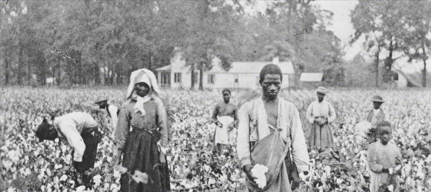 黑奴贸易的受害者:生前被当作怪物展览,死后被研究_莎拉_生活_英国