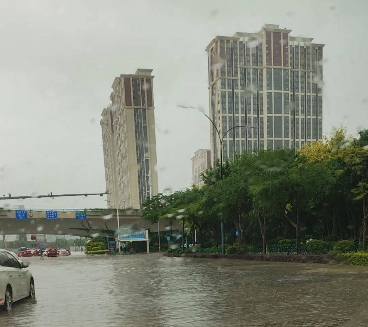 厦门暴雨过后,提醒家长:给孩子补上这堂安全教育课,孩子记得牢_积水