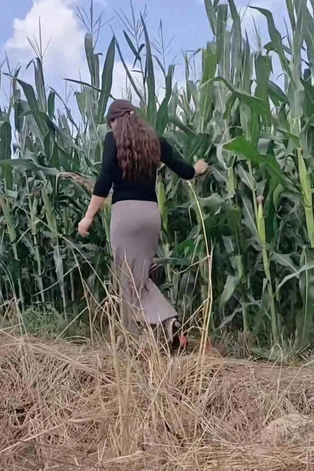 金黄苞米地与高跟鞋美女交织的心动!_土地_生活_穿着