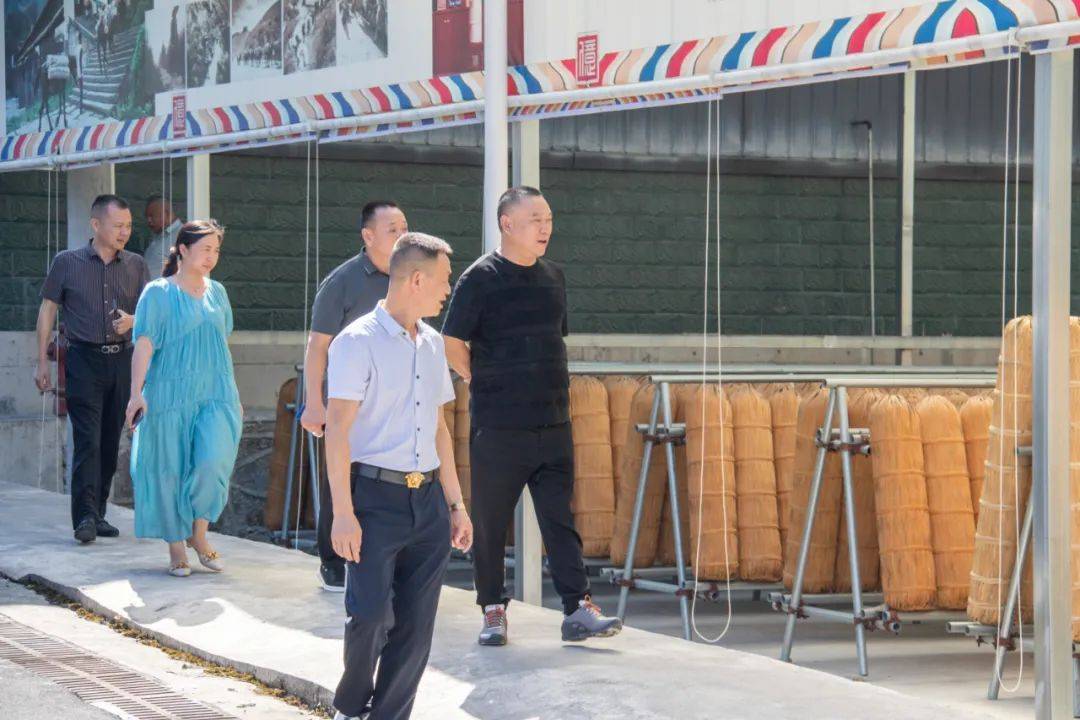 理想华莱集团董事长陈社强一行莅临湖北亿得来考察!_合作_发展_公司
