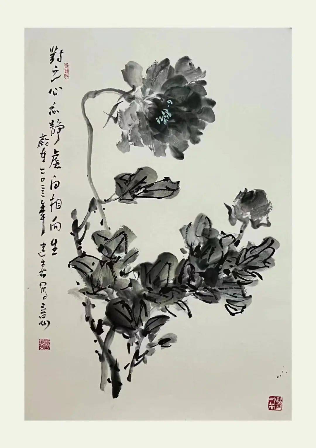 《书画南北方》拈花一笑——李建春画牡丹_先生_作品_朱屺瞻