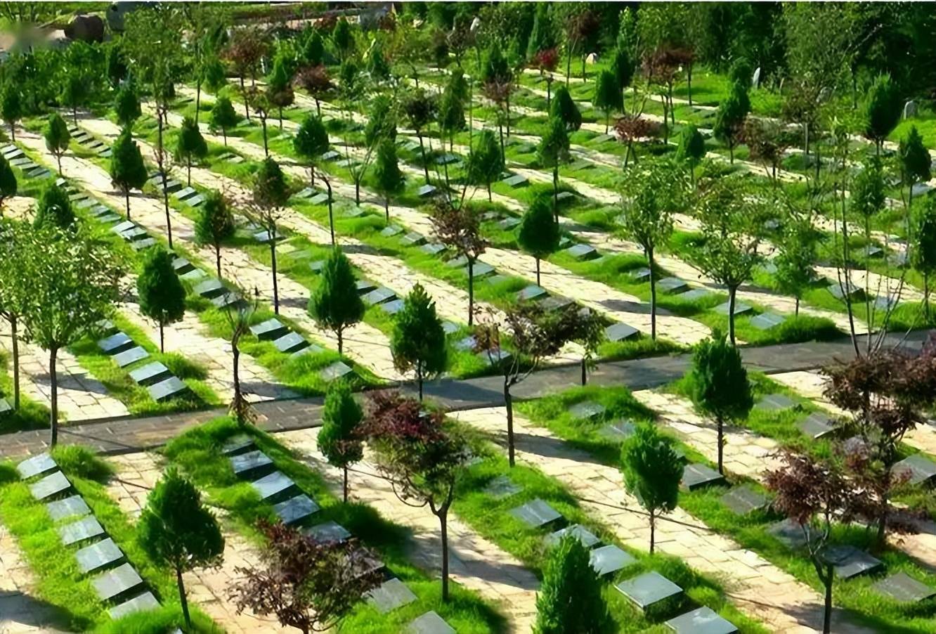 北京市合法的树葬陵园有哪些?_方式_利益_永宁