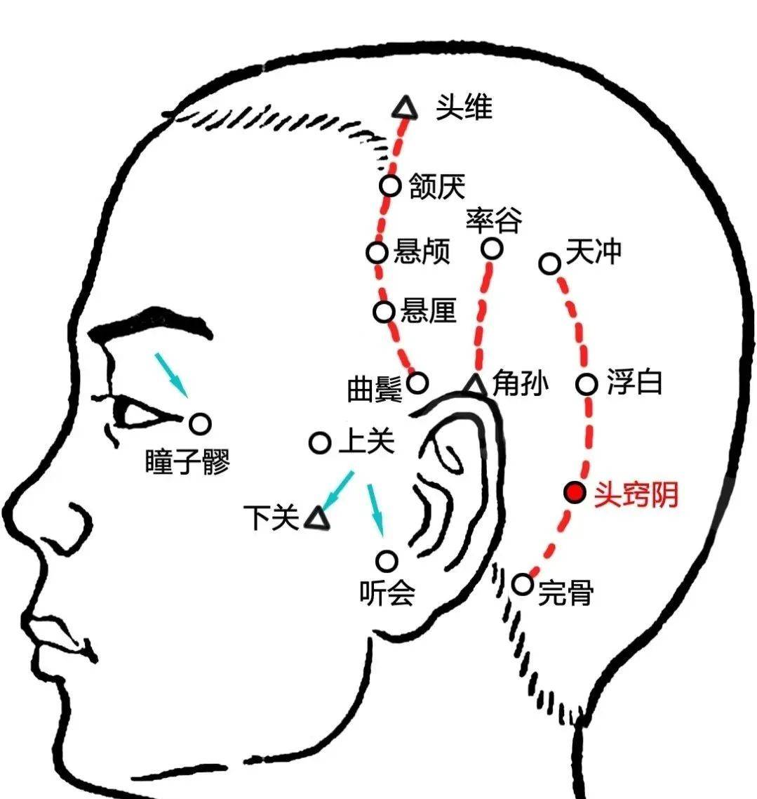 头部太阴的准确位置图图片