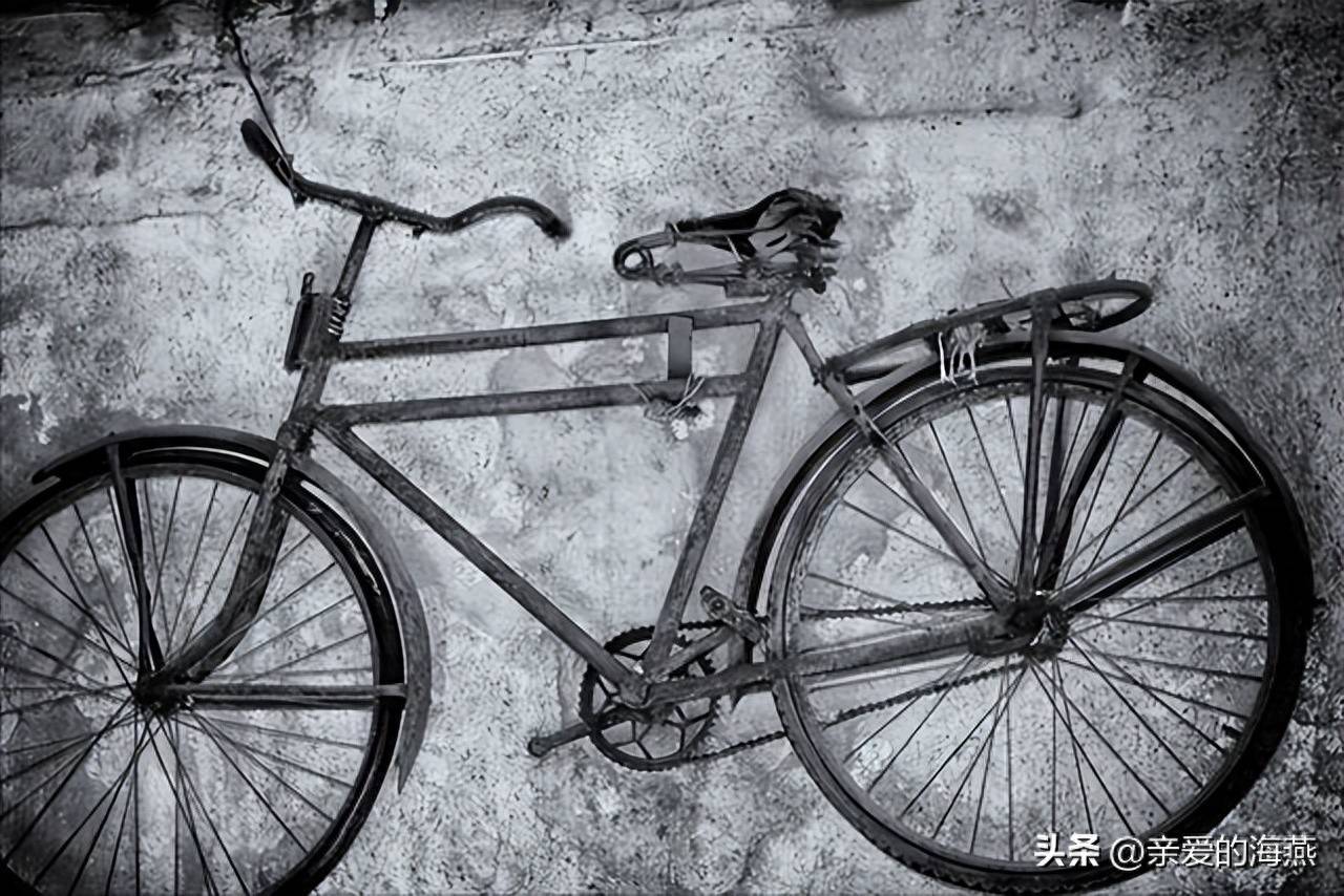 以前自行车既是交通工具,更是初级运输工具,尤其在农村,而且不少驮