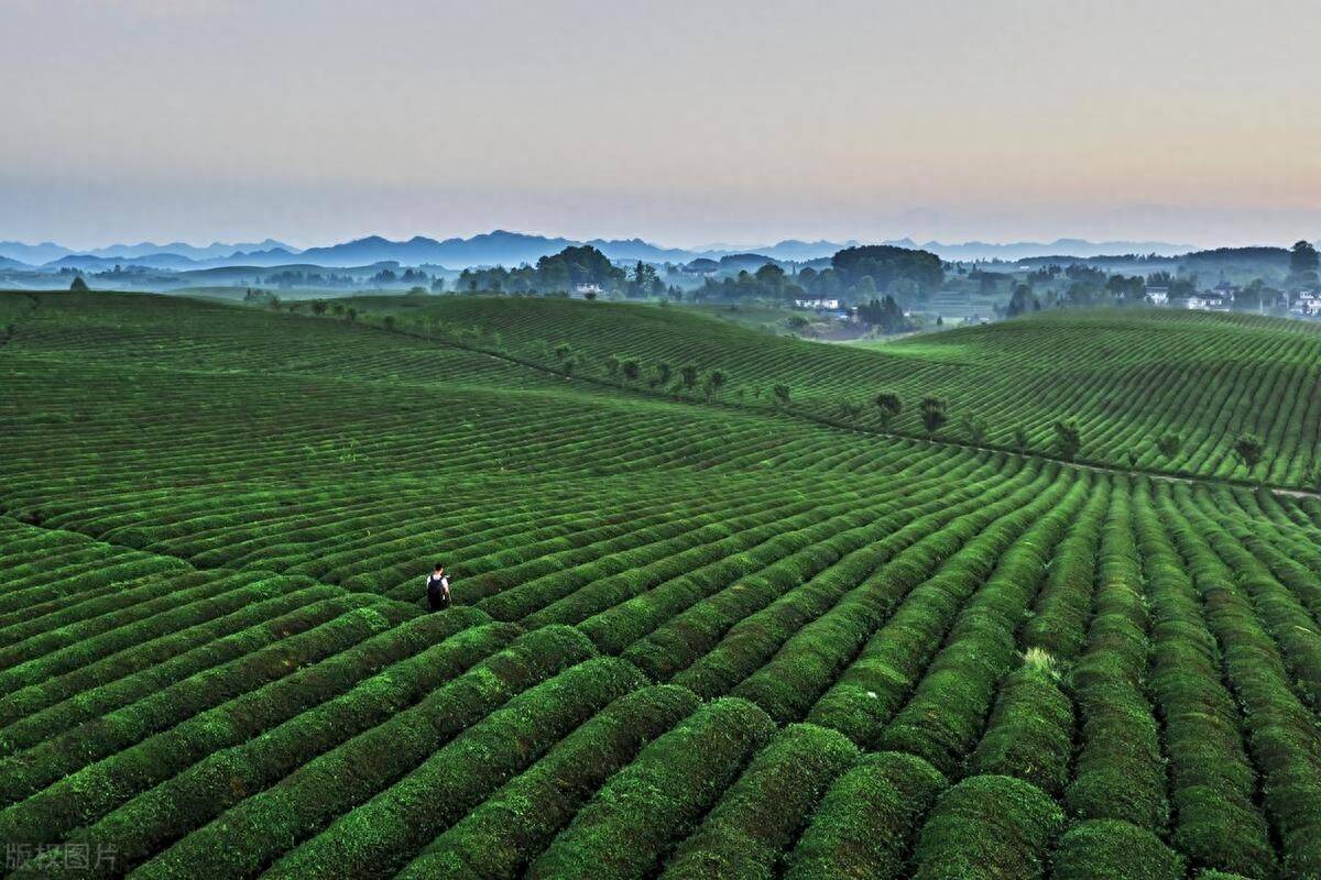 除了较热门的几个侗寨外,其他侗寨都是免门票的,还有镇远古城,旧州