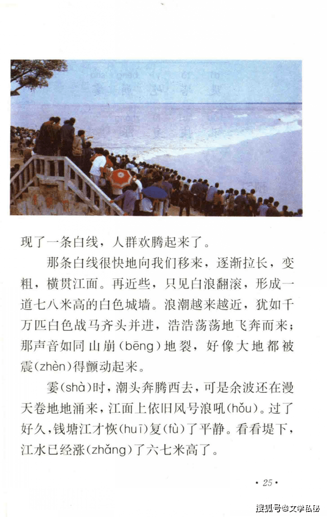 钱塘江文章图片