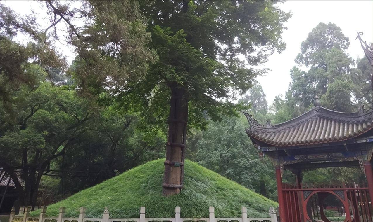 在今天的很多烈士陵园,我们也会看到墓地中有很多的松树和柏树.