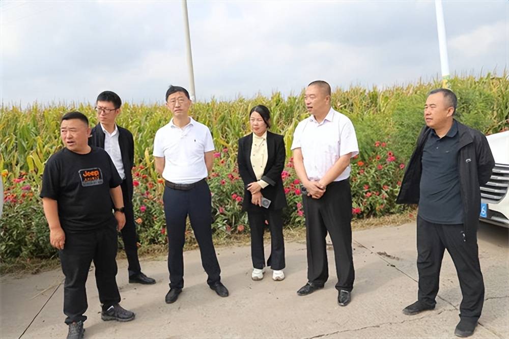 陶家屯镇崔家村,南兴村等地实地走访考察,在大岭镇政府召开了座谈会