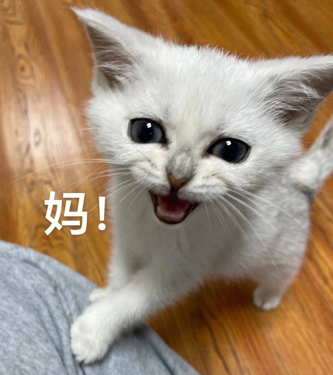 笑话十条:结婚后,老公变得特别勤俭持家,还恋旧_项链_妻子_男人