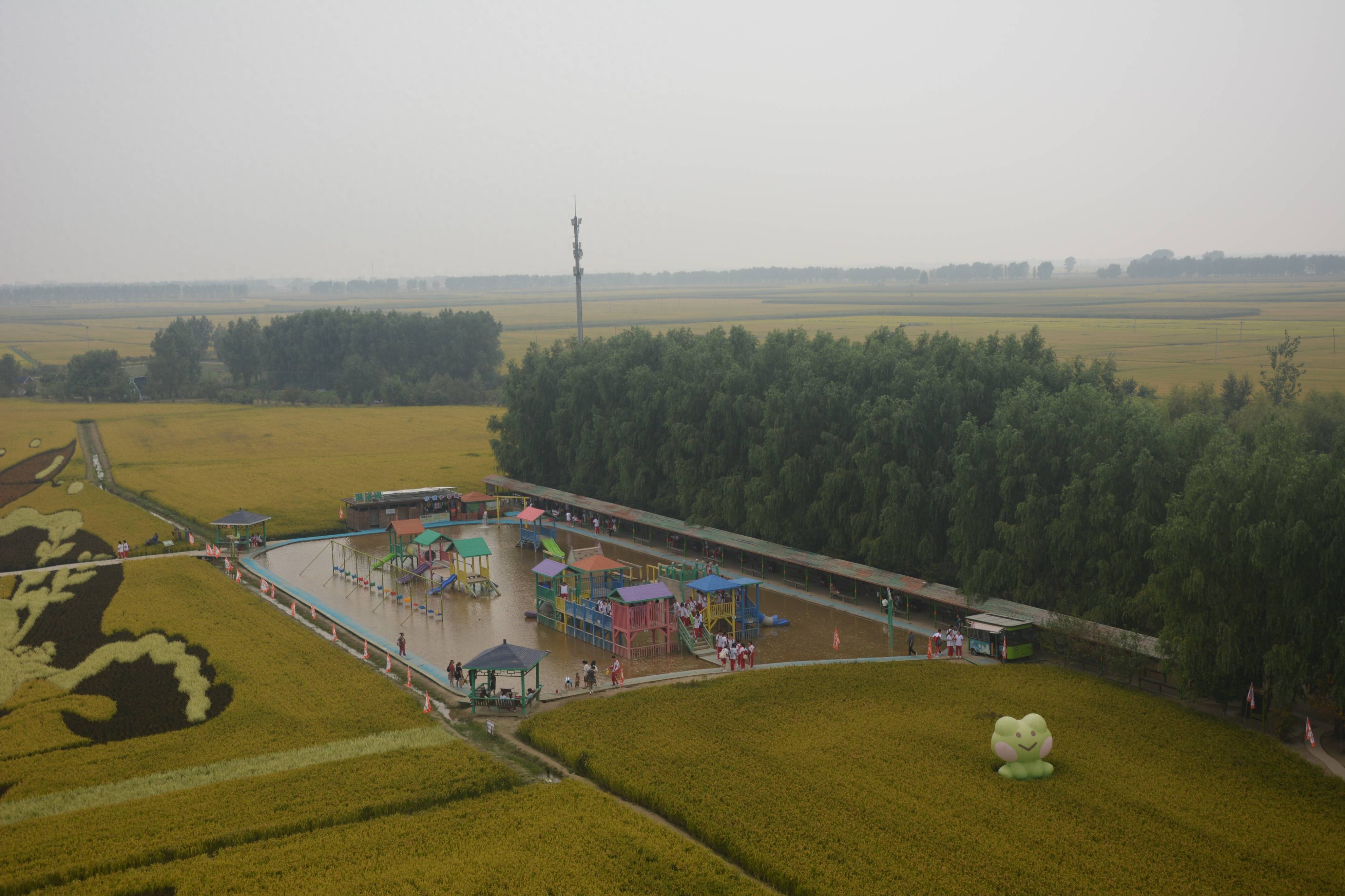 寻美沈北 | 稻梦空间:东北生态唯美特色小镇_稻田_乡村_水稻