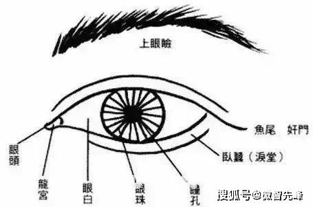 眼眦尖面相图片