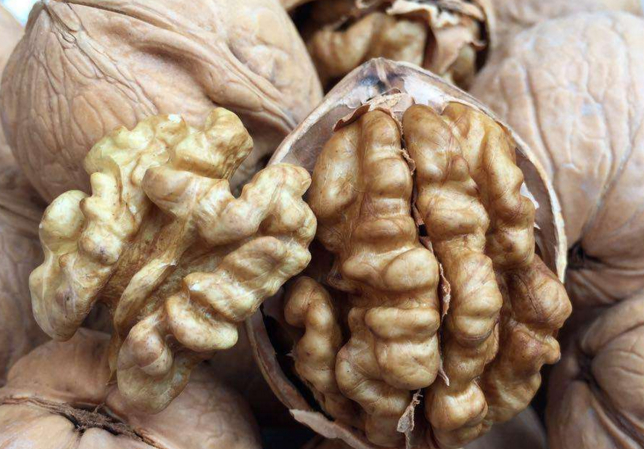 坚果如核桃,板栗,杏仁等的果实.