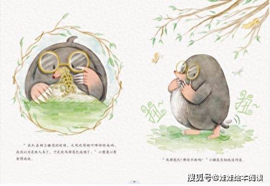 多彩世界:娃娃原创绘本故事传递多元文化与价值观!
