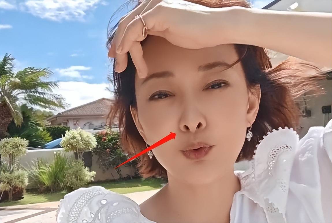 曝演员牛莉疑定居美国,鼻孔外翻嘴歪疑整容过度,国外豪宅曝光_网友