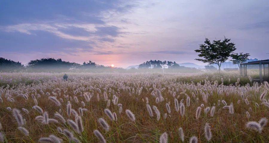 美的海尔格力海信的渠道策略洞察-家电圈官网