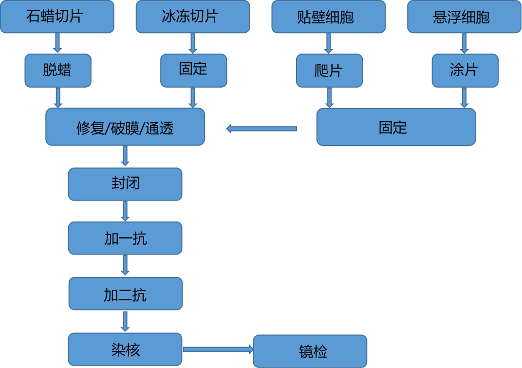 冰冻切片染色步骤图片