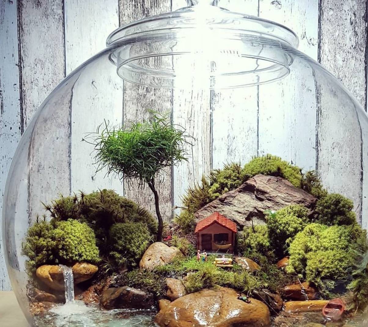 中国约有2800种,不同的苔藓形态也不一样,常见的有泥炭藓,凤尾藓等